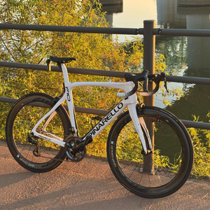 피나렐로 도그마 F10