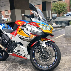 가와사키 닌자400 ABS(골드번호*777+아크라포빅 이미지