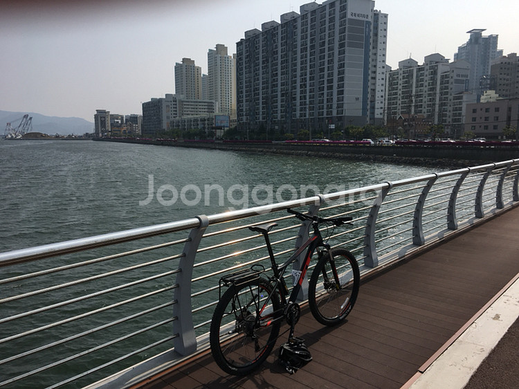 대형 사이즈 mtb 풀알미늄 gt아발란체 스포츠 XL--3