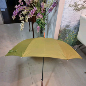 네이처리퍼블릭 우산 / 장우산 / 자동우산