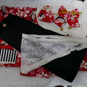 돌피드림 매이드세트 DD용 이미지