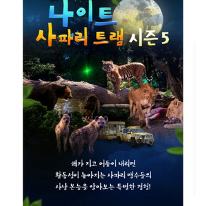 에버랜드 나이트사파리트램 10월10일 8시