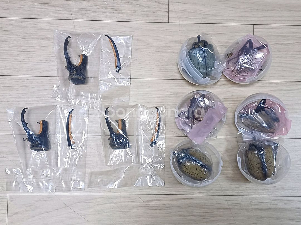 반다이 생물대도감 어드밴스 헤라클레스, 사슴벌레--1
