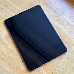 아이패드프로11 (1세대) 256GB 셀룰러 판매합니다