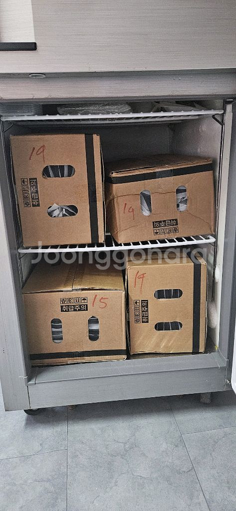 업소용 냉동고 올냉동 500L--2
