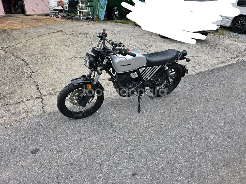 부캐너 125 cc--0