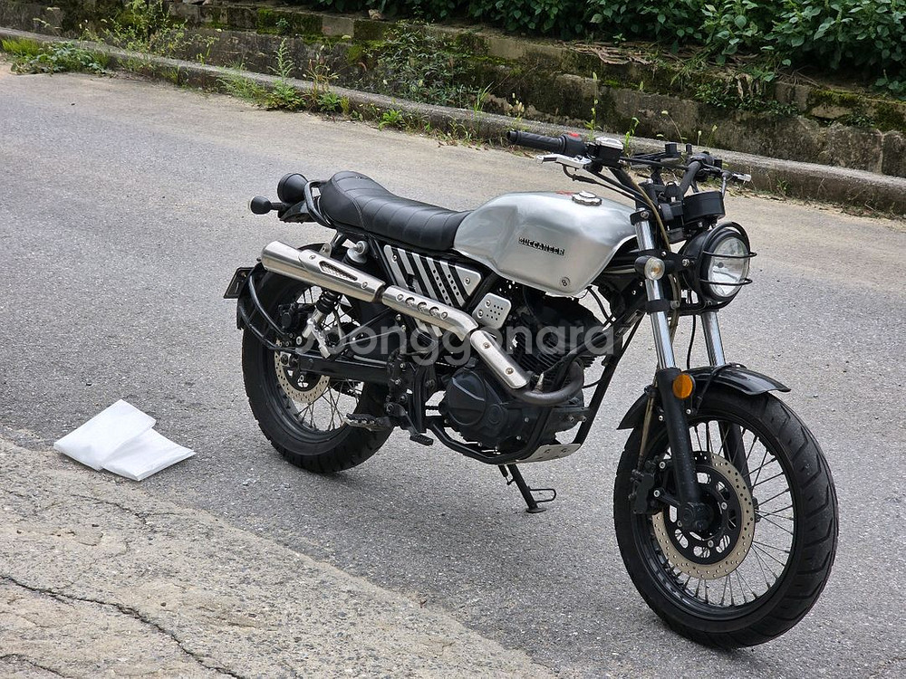 부캐너 125 cc--2