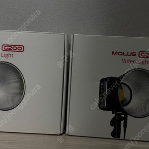 지윤 몰루스g200