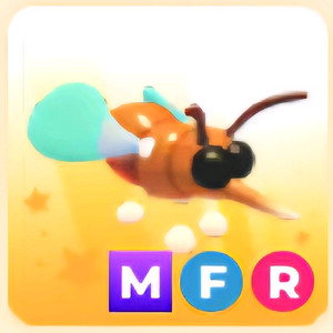 입양하세요 MFR 모기
