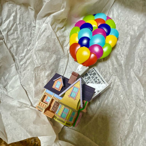 디즈니 픽사 업UP 풍선집