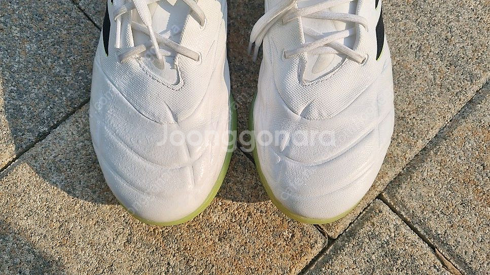 아디다스 코파퓨어1 tf--2