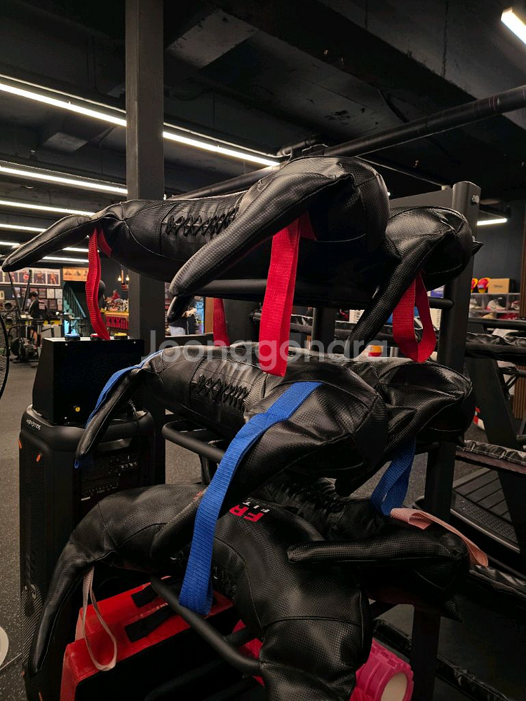 프로그 피트니스 불가리안백--0