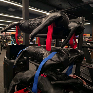 프로그 피트니스 불가리안백