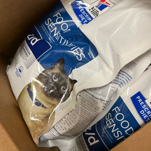 힐스 고양이사료 z/d