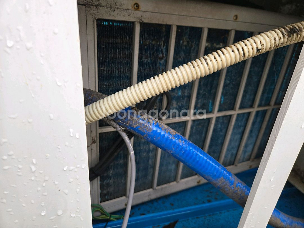 횟집 수족관 업소용 수족관 대형어항--7