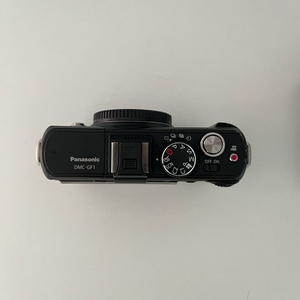 Panasonic Lumix GF1 카메라