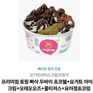 요거트아이스크림의 정석 빠삭의 정석