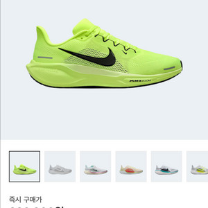 [새상품] 나이키 페가수스 41 볼트 270