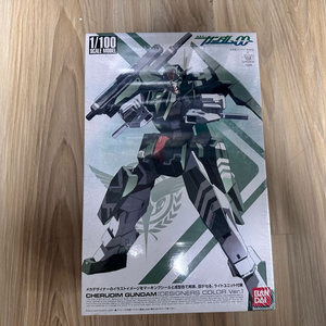 1/100 캘딤 디자이너스 컬러