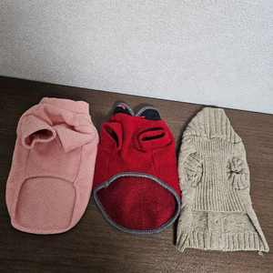 강아지옷 M 겨울옷