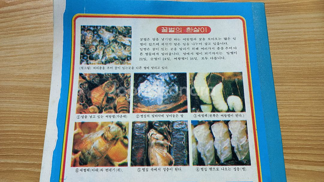 고전문구 공책 80년대 90년대 빈티지 레트로--5