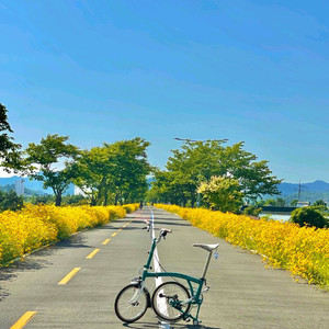 풀드레스업 브롬톤 B75 판매합니다.