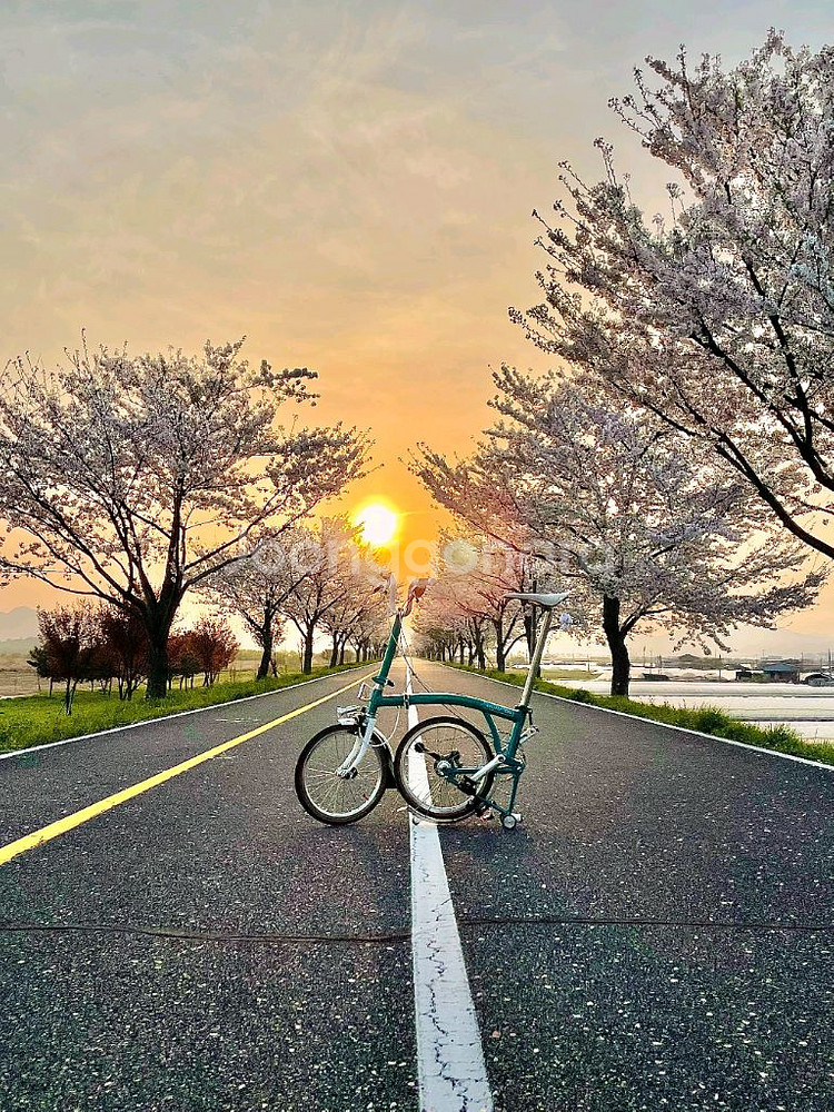 풀드레스업 브롬톤 B75 판매합니다.--1