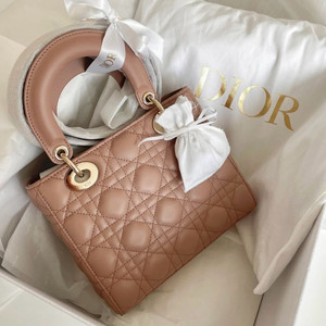 디올 레이디백 스몰 새제품
