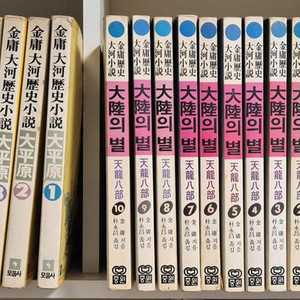 김용 녹정기 + 대륙의별