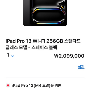 (애플케어플러스)아이패드 프로13 m4 256 WiFi