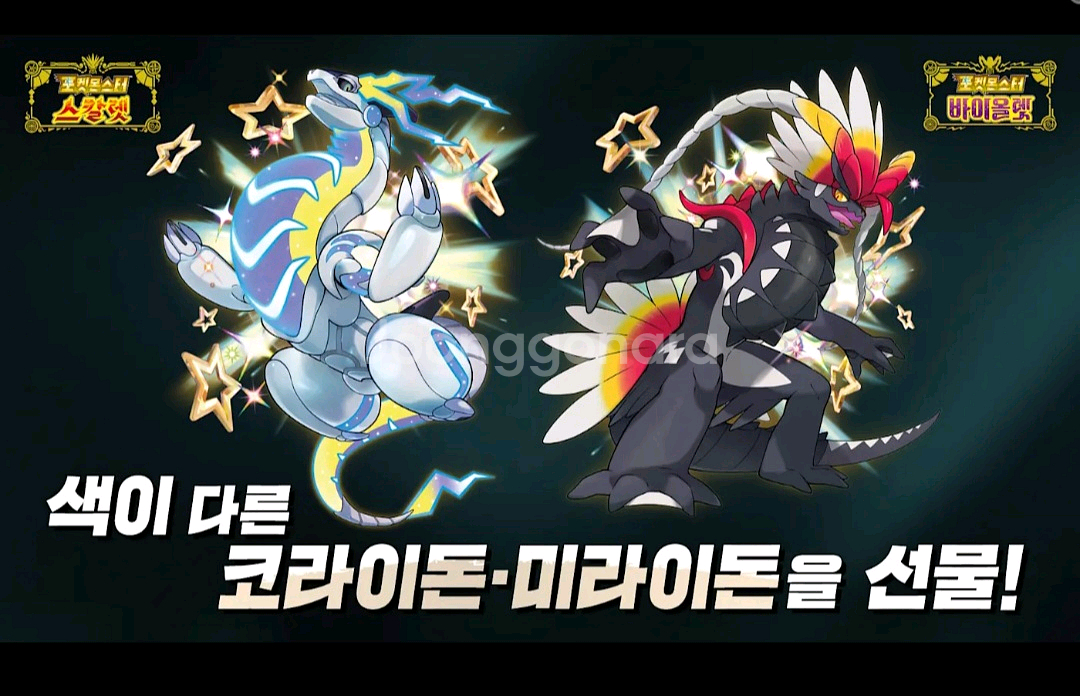 (대량 보유중) 이로치 코라이돈 미라이돈 시리얼코드--0