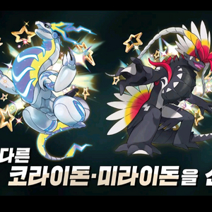 (대량 보유중) 이로치 코라이돈 미라이돈 시리얼코드