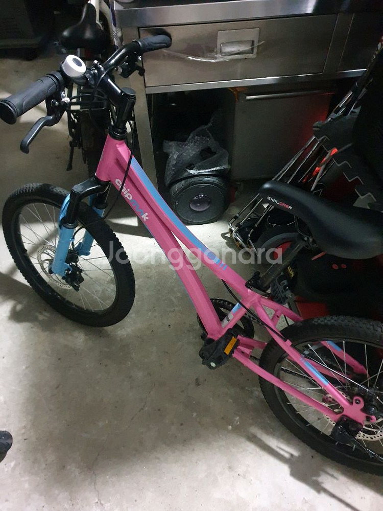 로얄베이비 20인치 자전거--0