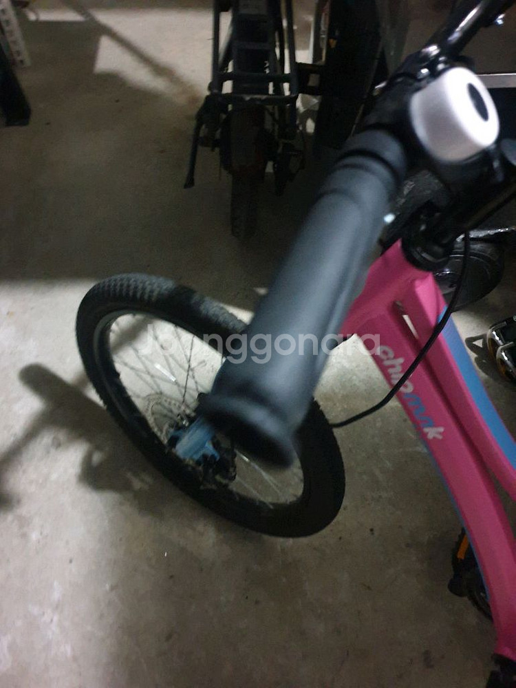 로얄베이비 20인치 자전거--1