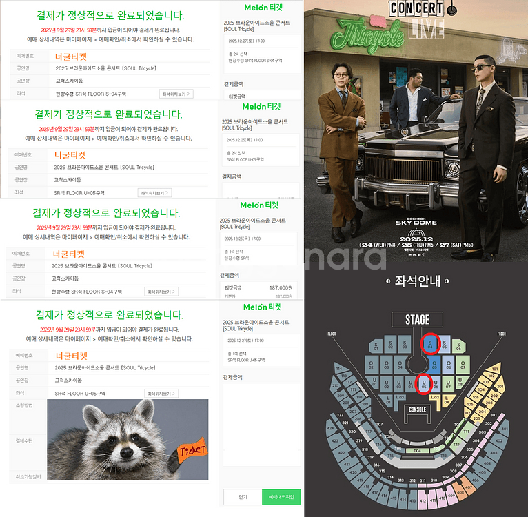 [너굴티켓] 브라운 아이드 소울 티켓 25일, 27일--0