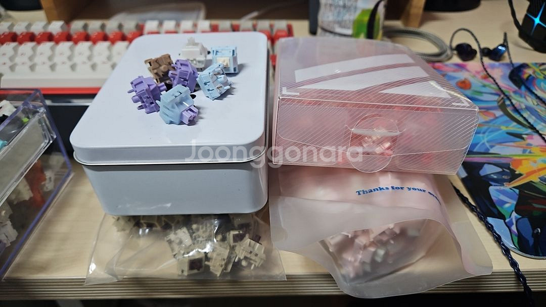 핑크솔트 햅번 톰캣 딸기+ 맛보기 스위치--0