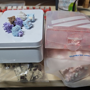 핑크솔트 햅번 톰캣 딸기+ 맛보기 스위치