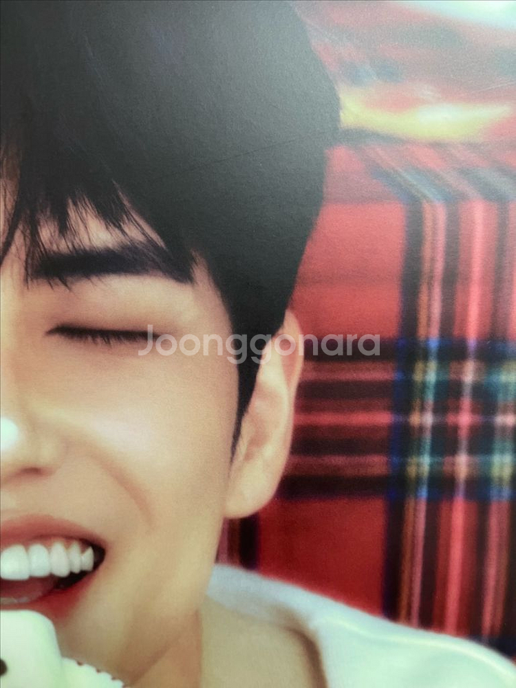 데이식스 원필 LP 포스터 세트 원가 이하--2