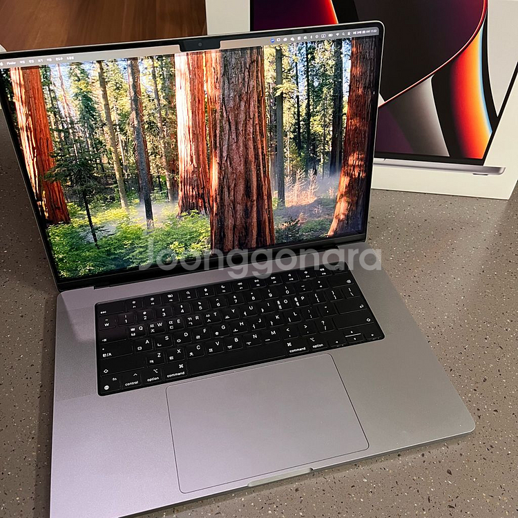 맥북프로 16인치 / M1 Max / 64GB/ 1TB--1