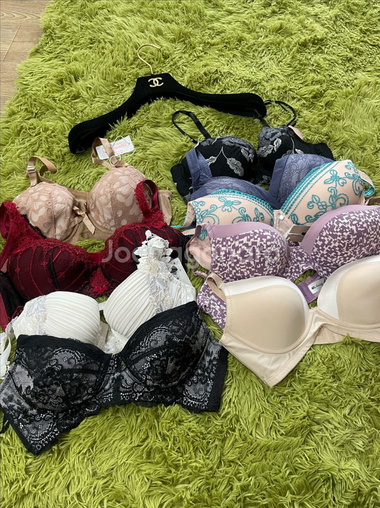 브래이지어 일괄9개 브라자 속옷--0