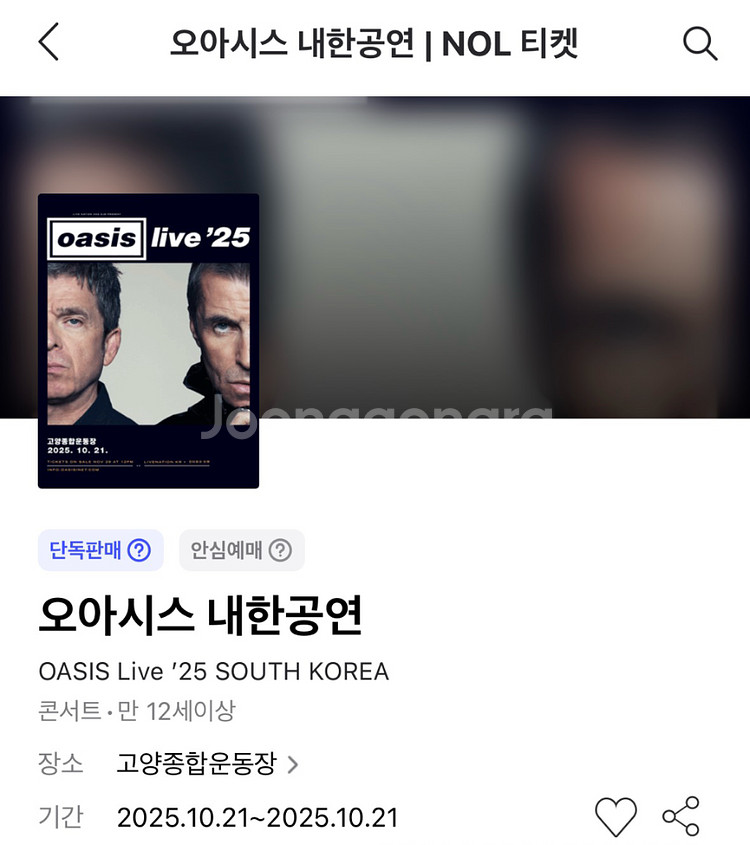 오아시스 내한 공연 콘서트 지정석 P석 티켓 1장 판매--0