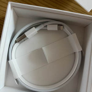 애플 정품 라이트닝 USB 케이블