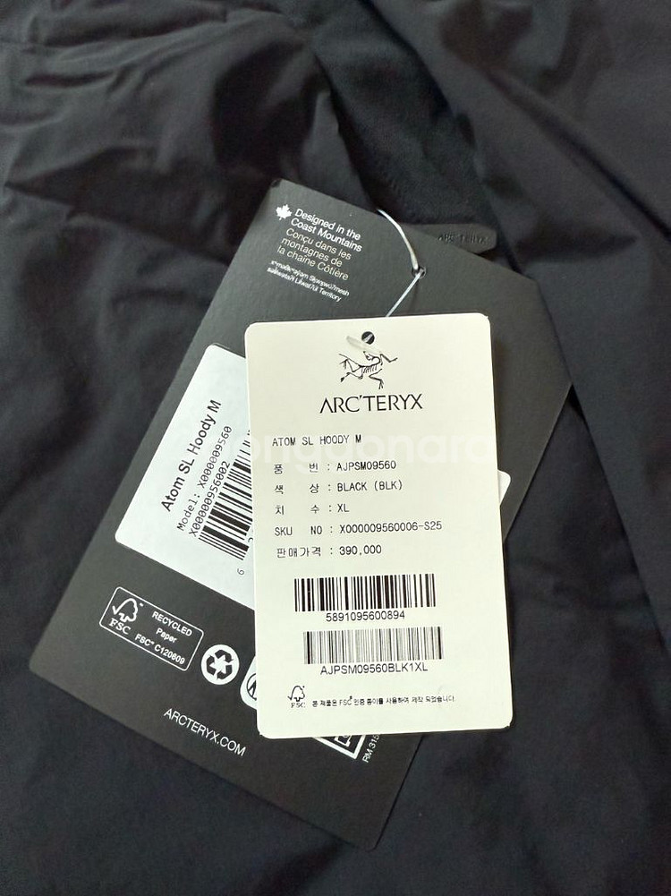 아크테릭스 아톰SL 후디--1