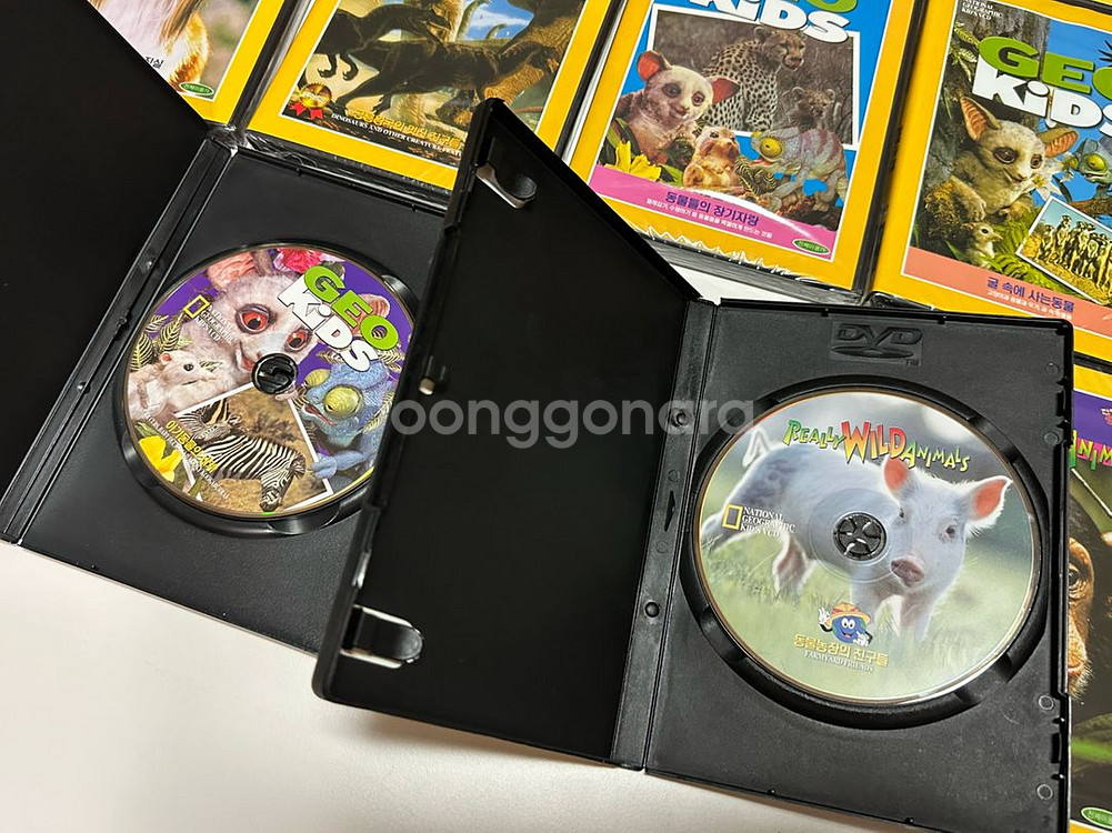 (논픽션 다큐 dvd)내셔널지오그래픽 지오키즈 dvd--6