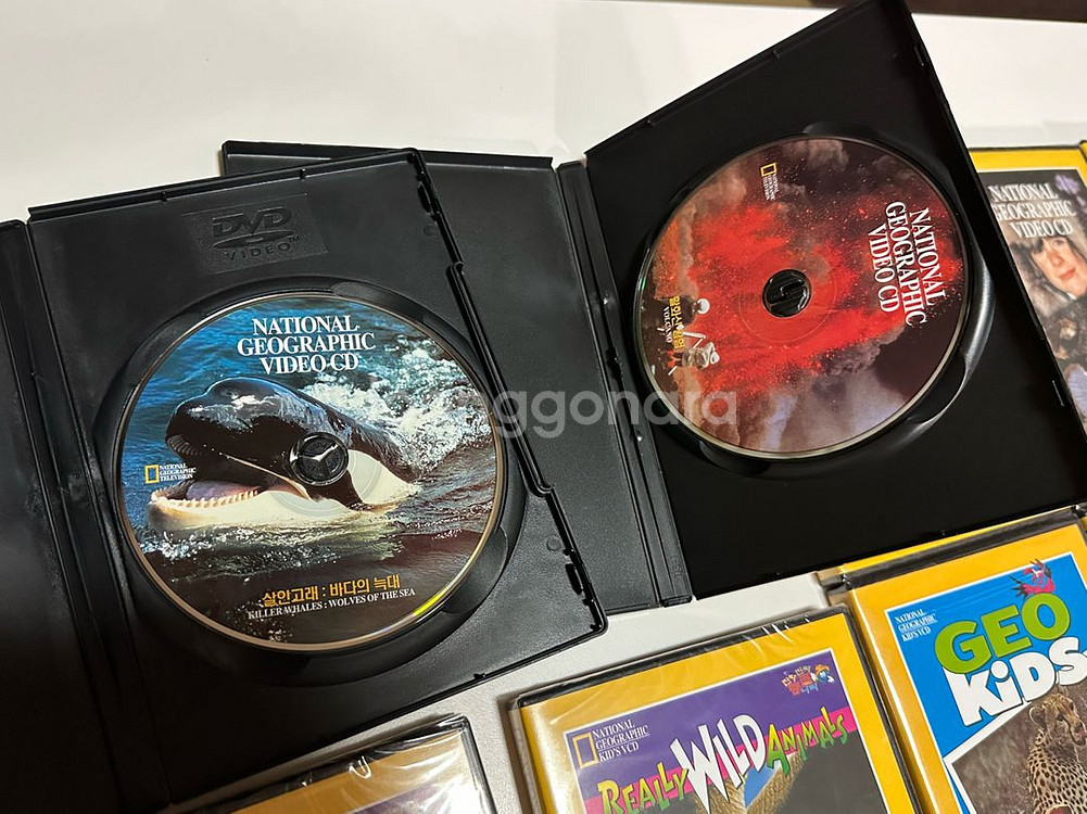 (논픽션 다큐 dvd)내셔널지오그래픽 지오키즈 dvd--5