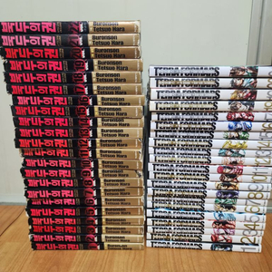 테라포마스.북두의권