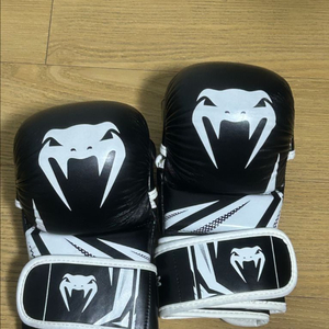 배넘 글러브 mma