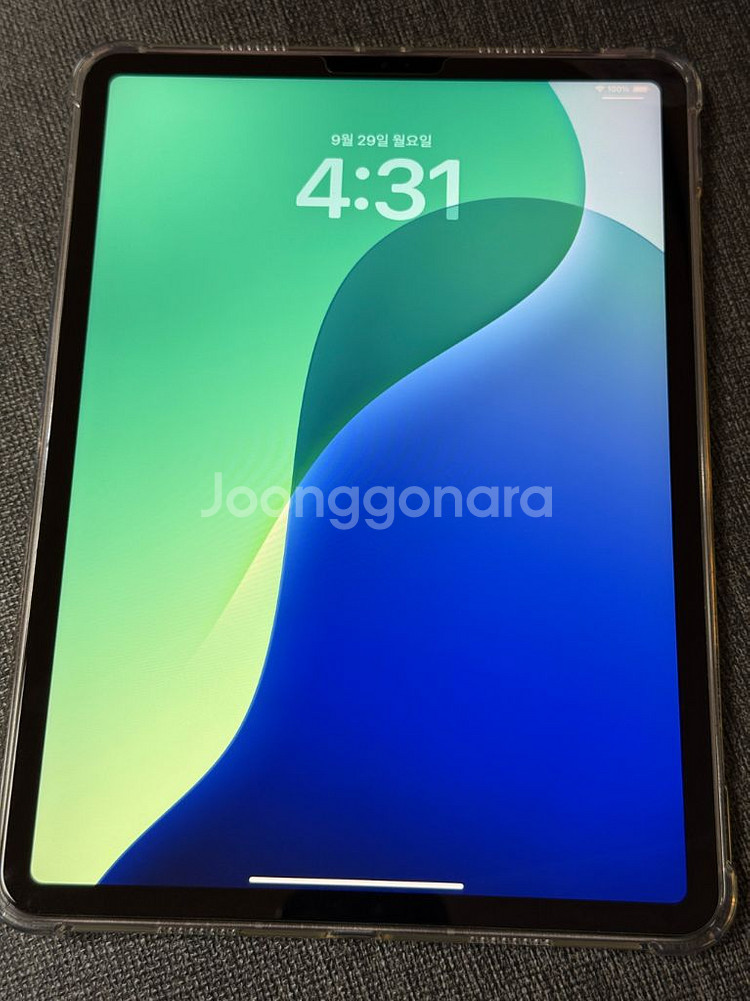 아이패드 프로 11인치 M2 256gb 셀룰러--0