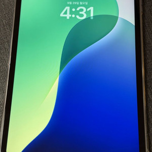 아이패드 프로 11인치 M2 256gb 셀룰러