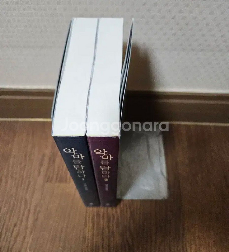 로맨스소설 악마를탐하다 2권 (너무깨끗,완결)--3